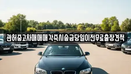 서울특별시 마포구 연남동 중고차매매 전문 관허중고차매매매각즉시송금당일이전무료출장견적