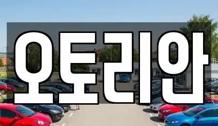 서울특별시 서대문구 중고차 전문 오토리안