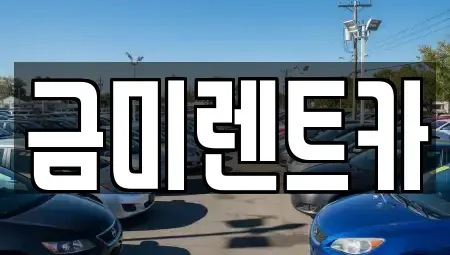 서울특별시 영등포구 영등포동8가 렌트카 전문 금미렌트카