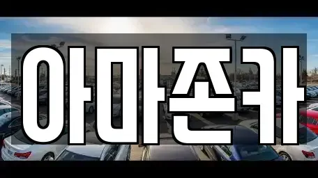 서울특별시 영등포구 영등포동8가 장기렌트카 전문 아마존카