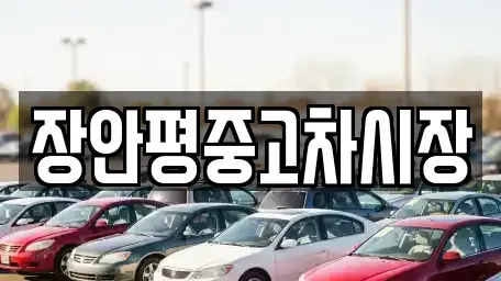 서울특별시 영등포구 영등포동8가 중고차 전문 장안평중고차시장