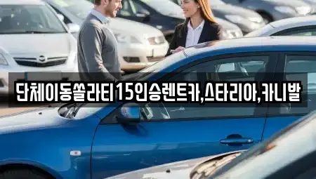 서울특별시 중구 입정동 렌트카 전문 단체이동쏠라티15인승렌트카,스타리아,카니발