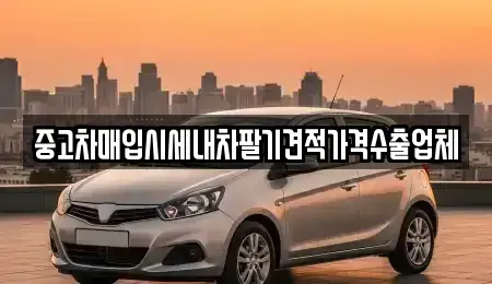 서울특별시 중구 입정동 중고차매입 전문 중고차매입시세내차팔기견적가격수출업체