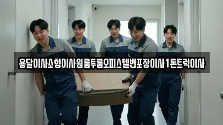 용달이사소형이사원룸투룸오피스텔반포장이사1톤트럭이사