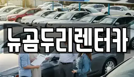 울산광역시 중구 학성동 장기렌트카 전문 뉴곰두리렌터카