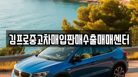 울산광역시 중구 학성동 중고차매입 전문 김프로중고차매입판매수출매매센터