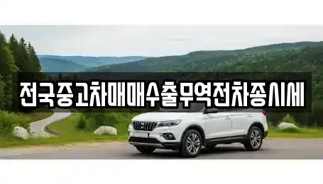 인천 중구 관동1가 중고차매매 전문 전국중고차매매수출무역전차종시세