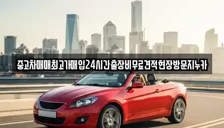 인천 중구 송학동1가 중고차 전문 중고차매매최고가매입24시간출장비무료견적현장방문지누카