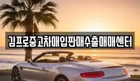 인천 중구 송학동1가 중고차매입 전문 김프로중고차매입판매수출매매센터