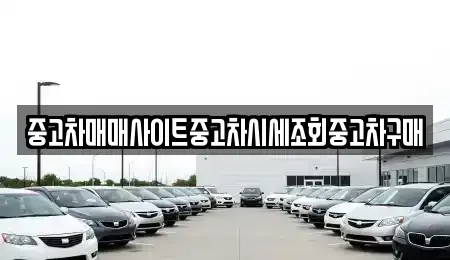 인천광역시 연수구 청학동 중고차 전문 중고차매매사이트중고차시세조회중고차구매
