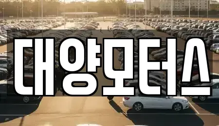 전남 고흥군 동강면 중고차매매 전문 대양모터스
