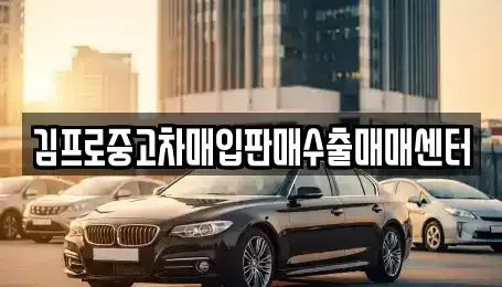 전남 목포시 대안동 중고차매입 전문 김프로중고차매입판매수출매매센터
