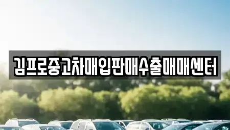 전남 목포시 상락동2가 중고차매입 전문 김프로중고차매입판매수출매매센터