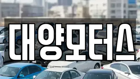 전남 보성군 득량면 중고차 전문 대양모터스