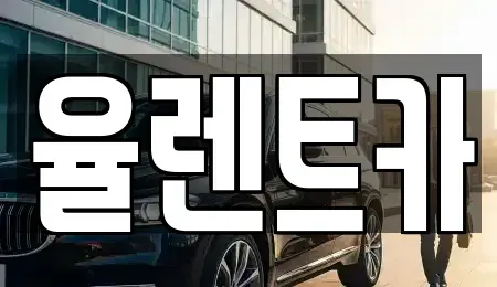 전남 화순군 동면 단기렌트카 전문 율렌트카