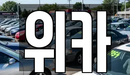 전남 화순군 동면 장기렌트카 전문 위카