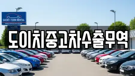 전남 화순군 동면 중고차매매 전문 도이치중고차수출무역