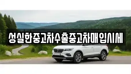 전남 화순군 한천면 중고차매입 전문 성실한중고차수출중고차매입시세