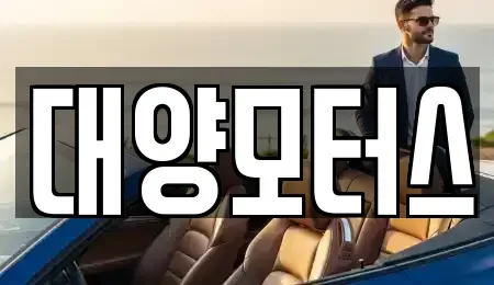 전라남도 나주시 교동 중고차 전문 대양모터스