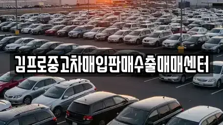 전라남도 목포시 대안동 중고차매입 전문 김프로중고차매입판매수출매매센터