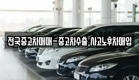 전라남도 목포시 대안동 중고차매입 전문 전국중고차매매-중고차수출,사고노후차매입