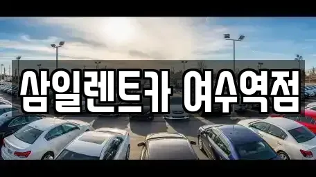 전라남도 여수시 여서동 렌트카 전문 삼일렌트카 여수역점