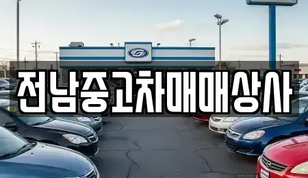 전라남도 함평군 손불면 중고차 전문 전남중고차매매상사