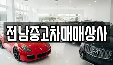 전라남도 함평군 엄다면 중고차,렌트카,중고차매입,중고차매매,장기렌트카,단기렌트카