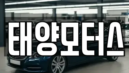 전북 순창군 풍산면 중고차 전문 태양모터스