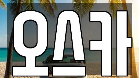 전북 전주시 덕진구 전미동2가 중고차 전문 오스카