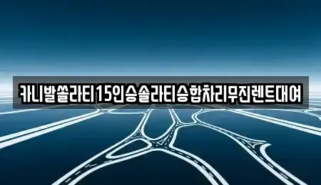 전북 전주시 완산구 다가동3가 렌트카 전문 카니발쏠라티15인승솔라티승합차리무진렌트대여