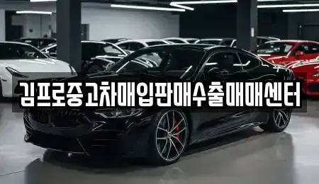 전북 전주시 완산구 다가동3가 중고차매입 전문 김프로중고차매입판매수출매매센터
