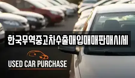 전북특별자치도 익산시 창인동2가 중고차 전문 한국무역중고차수출매입매매판매시세