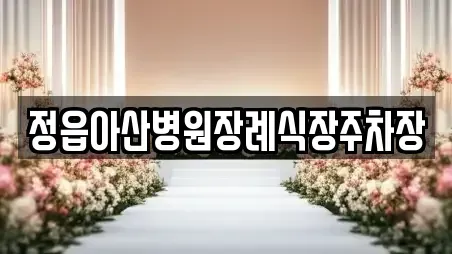 정읍아산병원장례식장주차장