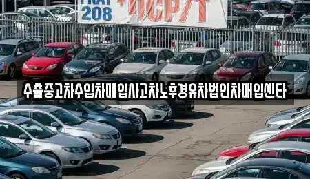 제주 제주시 추자면 단기렌트카,중고차매입,중고차매매,중고차,렌트카,장기렌트카