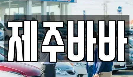 제주특별자치도 제주시 아라일동 렌트카 전문 제주바바