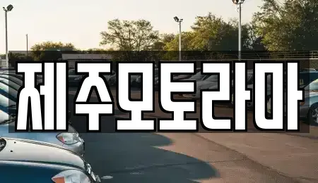 제주특별자치도 제주시 아라일동 중고차매매 전문 제주모토라마