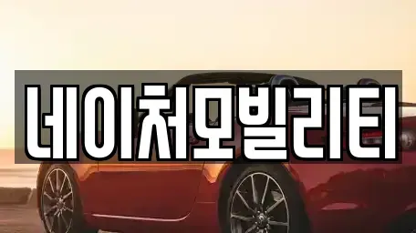 제주특별자치도 제주시 용강동 렌트카 전문 네이처모빌리티