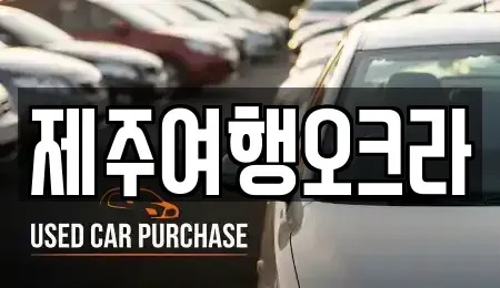 제주특별자치도 제주시 용강동 렌트카 전문 제주여행오크라