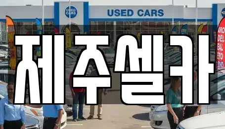 제주특별자치도 제주시 용강동 중고차 전문 제주셀카