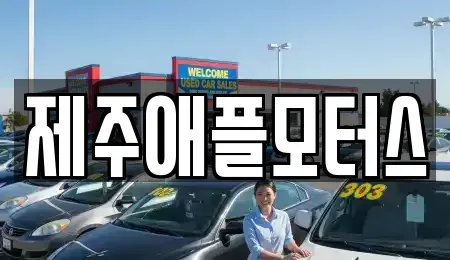 제주특별자치도 제주시 용강동 중고차 전문 제주애플모터스