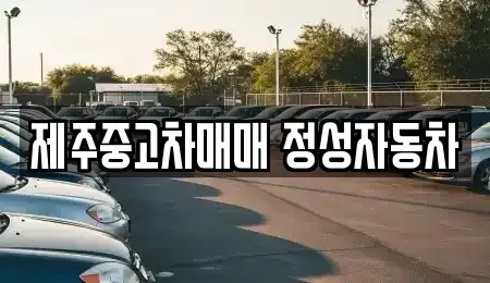 제주특별자치도 제주시 용강동 중고차 전문 제주중고차매매 정성자동차