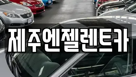 제주특별자치도 제주시 용담삼동 렌트카 전문 제주엔젤렌트카