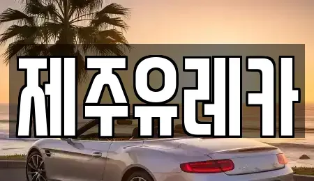 제주특별자치도 제주시 용담삼동 렌트카 전문 제주유레카
