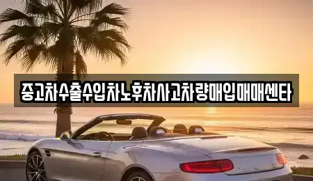 제주특별자치도 제주시 용담삼동 중고차 전문 중고차수출수입차노후차사고차량매입매매센타