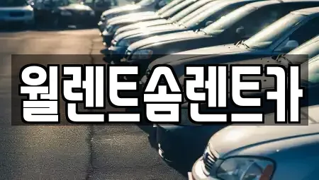 충남 아산시 신인동 렌트카 전문 월렌트솜렌트카