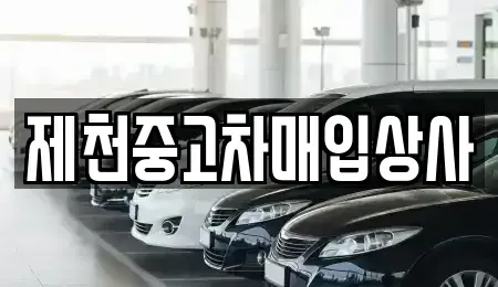 충북 제천시 영천동 중고차매입 전문 제천중고차매입상사