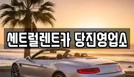 충청남도 당진시 대덕동 장기렌트카 전문 센트럴렌트카 당진영업소