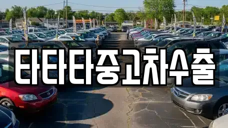 충청남도 서산시 양대동 중고차 전문 타타타중고차수출
