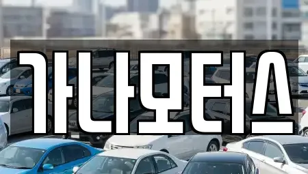 충청남도 아산시 선장면 중고차 전문 가나모터스
